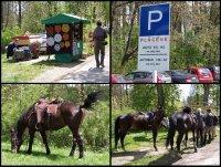 Ailleurs: Červená Lhota, ne vous y précipitez pas