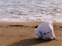Un sac plastique peut mettre jusqu'à 400 ans pour se dégrader dans l'environnement