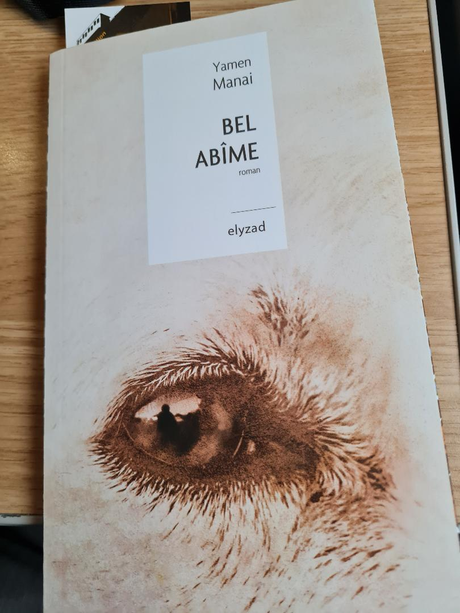 Yamen Manai: Bel âbime