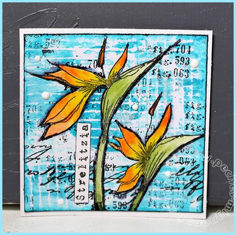 Thrinchie challenge #16 – Floraison