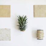 De l’ananas transformé en biomatériaux De lananas transforme en bio materiaux