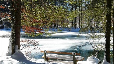 Le monde - paysages enneigés