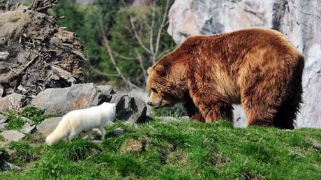 Le monde - paysages enneigés