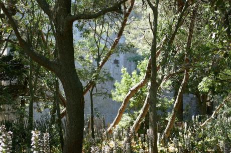 A l’affût de ce qui fuit