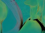 Passionflix: avis Resisting Roots d'Audrey Carlan