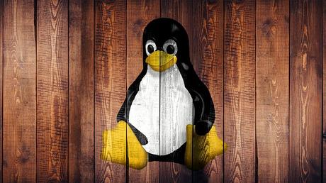 Tout savoir sur le système d’exploitation Linux