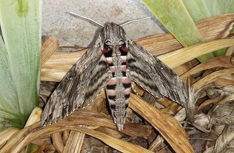 Ouvrir les yeux Ouvrir les yeux