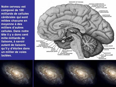 Divers - Emerveillez-vous