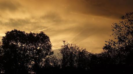 bien étrange buffet