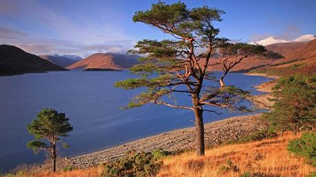 Le monde - Couchers de soleil