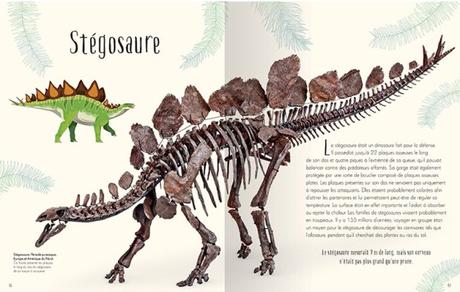 L’anthologie illustrée des dinosaures incroyables et autres vies préhistoriques de Caroline Blattner