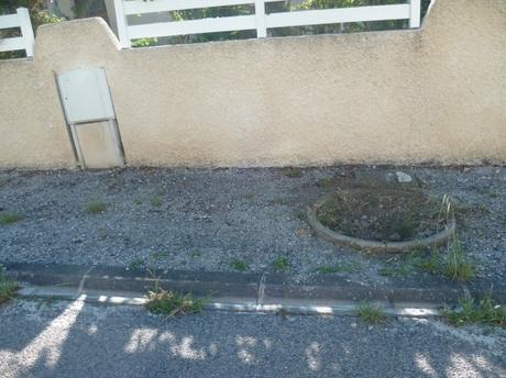 internet,connexion,web,numérique,informatique,fibre