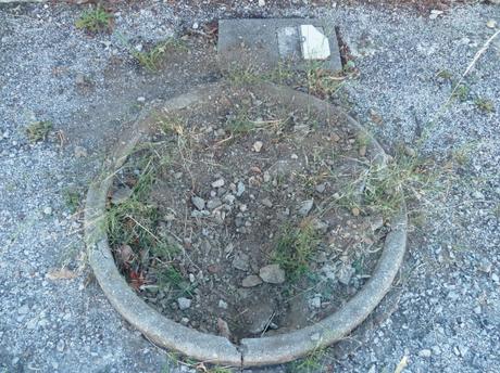 internet,connexion,web,numérique,informatique,fibre