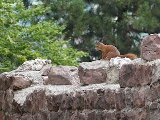 Heidelberg ou la ville idéale Heidelberg ou la ville idéale