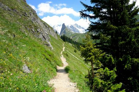 Le chemin du Mont Bochor aux Barmettes © French Moments