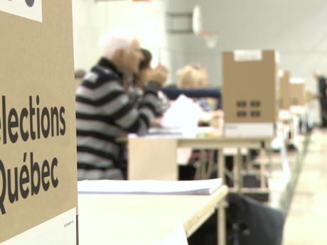 Chiens Pas de Médailles