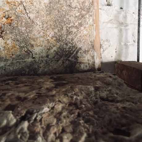 LA BIENNALE DE VENEZIA : Bento et Vinciane Despret occuperont le pavillon belge en 2023 LA BIENNALE DE VENEZIA : Bento et Vinciane Despret occuperont le pavillon belge en 2023