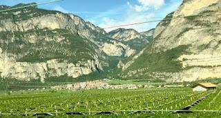 Vues de la campagne et de la périphérie des Alpes