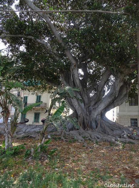 Reggio Calabria - Lungomare, Museo et pranzo da Sottozero Reggio Calabria - Lungomare, Museo et pranzo da Sottozero