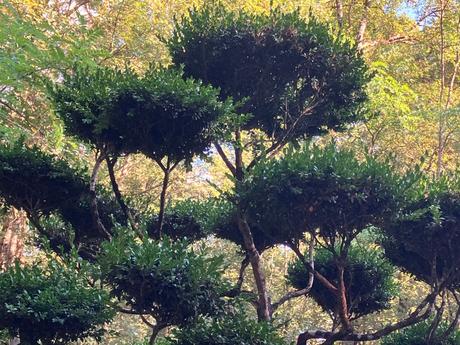 Domaine de Poulaines (dans l’Indre)