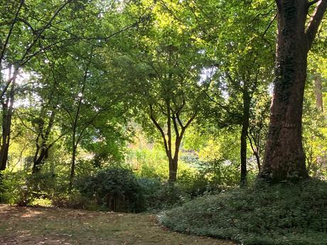 Domaine de Poulaines (dans l’Indre)