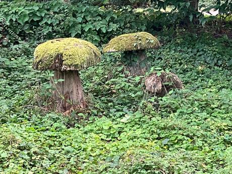 Domaine de Poulaines (dans l’Indre)