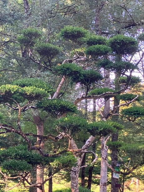 Domaine de Poulaines (dans l’Indre)