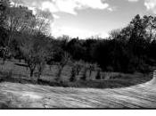 Patricio Sánchez-Rojas pourquoi chemin… camino… (Lecture d'Angèle Paoli)