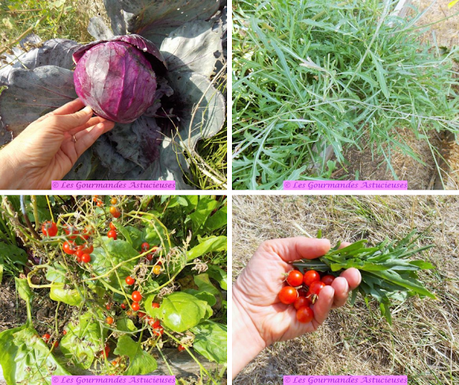 Salade de chou rouge, pommes et noix (Vegan) Salade de chou rouge, pommes et noix (Vegan)