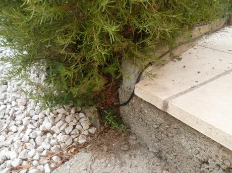 DE TOUT ET DE RIEN rentrée,septembre,automne,temps gris. quotidien