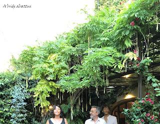 Antigone sous le soleil de midi, par Bénédicte Bosc pour le Festival If (Avignon 2022)