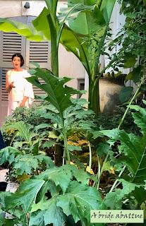 Antigone sous le soleil de midi, par Bénédicte Bosc pour le Festival If (Avignon 2022)