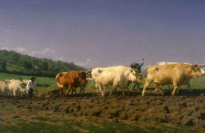 Labourage dans le Nivernais