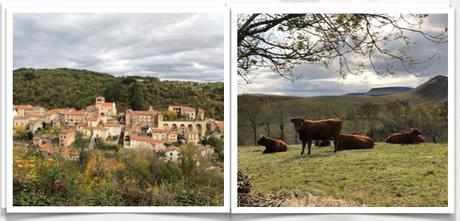 Tarte soleil et roulés saucisses Tarte soleil et roulés saucisses