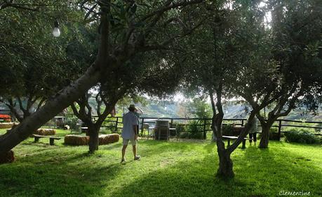 Brattirò - Dégustation à la Cantina Masicei