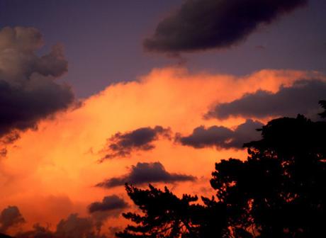 9 octobre 2022 à TREVOUX: Journée Connaissance de soi.