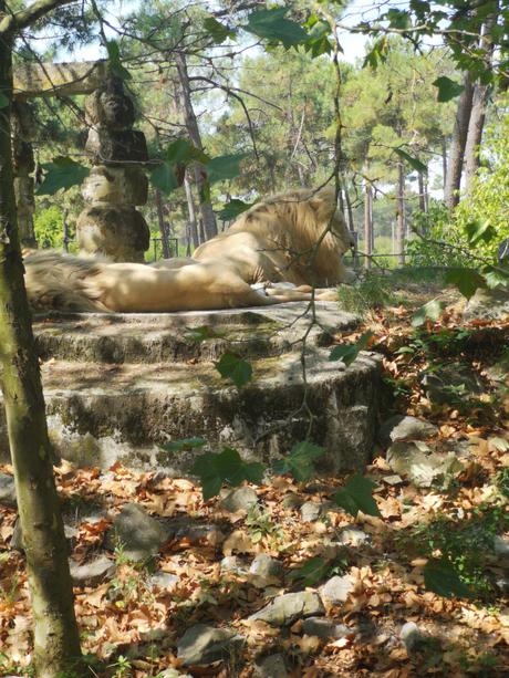 Location vacances Le Teich – Arcachon