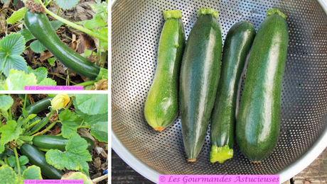 Tarte de Polenta aux légumes confits (Vegan)