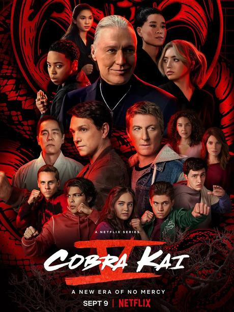 [FUCKING SERIES] : Cobra Kai saison 5 : The Final Countdown