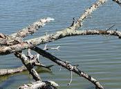 toujours celle autres