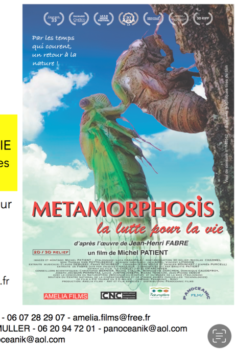 un film nouveau : de Michel Patient « Metamorphosis – la lutte pour la vie »