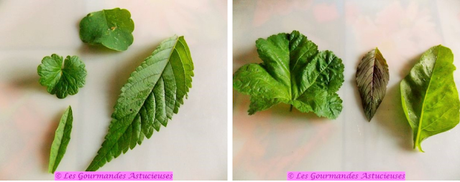 Sauce tomates aux pois chiches très savoureuse (Vegan) Sauce tomates aux pois chiches très savoureuse (Vegan)