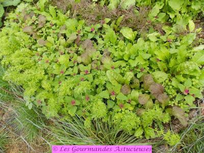 Sauce tomates aux pois chiches très savoureuse (Vegan) Sauce tomates aux pois chiches très savoureuse (Vegan)