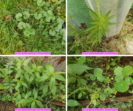 Sauce tomates aux pois chiches très savoureuse (Vegan) Sauce tomates aux pois chiches très savoureuse (Vegan)