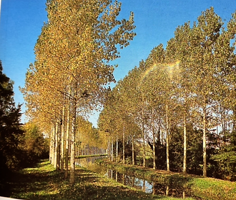 Le canal de Berry – 200 ans -une belle histoire.(23 au 25 Septembre à Selles sur cher.