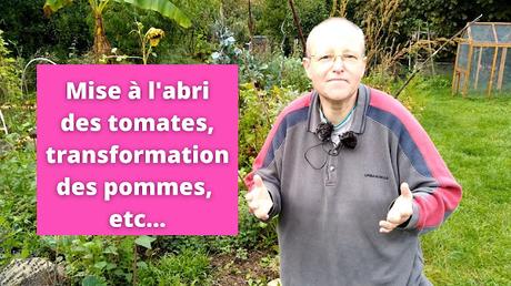 Mise à l'abri des tomates et transformation des pommes (vidéo)