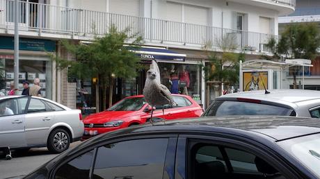 sur toutes les plages du monde