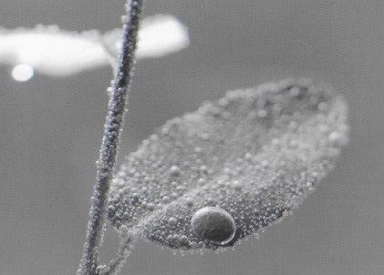 Galerie Univer, du 15 septembre au 8 octobre 2022 fullsizeoutput_4398