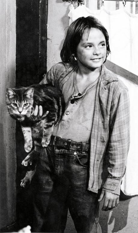 Une Mouche Dans un Verre de Lait