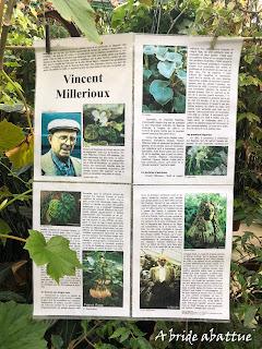 Le Conservatoire national du Bégonia de Rochefort